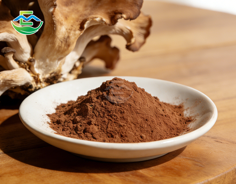 Bulk Maitake Mushroom Powder – Standardized Extract